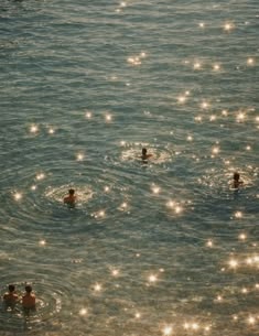 Sunlight sparkling around swimmers in the sea